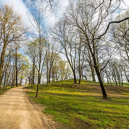 Your Cozy Family-friendly Flat In Vibrant Riga