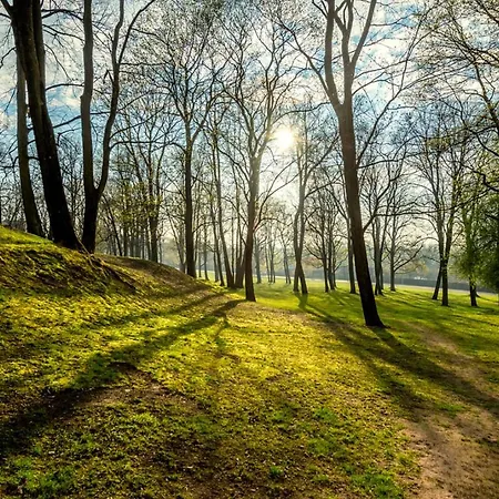 Your Cozy Family-friendly Flat In Vibrant Apartament
